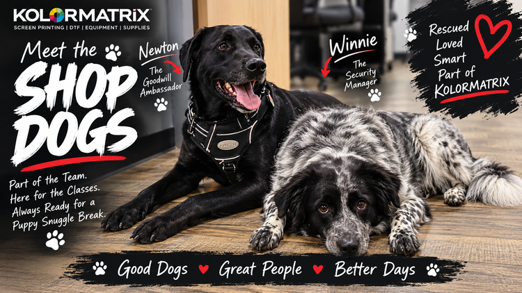 Meet the KOLORMATRIX Shop Dogs: Newton and Winnie