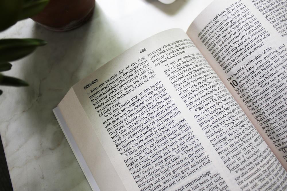 Free NIV Bible — Our Christmas Gift to You.
