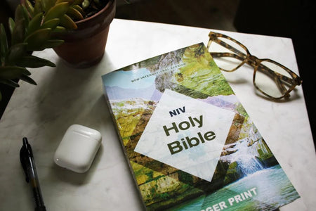 Free NIV Bible — Our Christmas Gift to You.